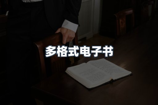 多格式电子书